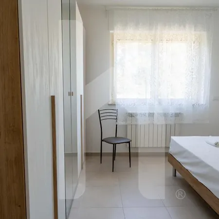 Homiday - Merope * Pineto