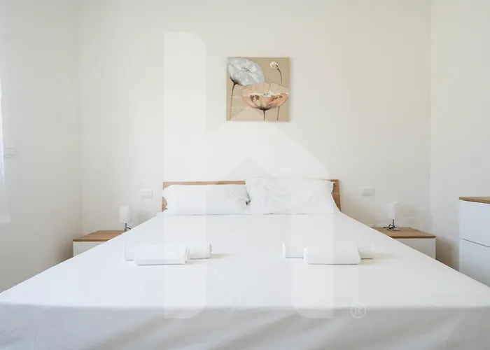 Homiday - Merope * Пинето