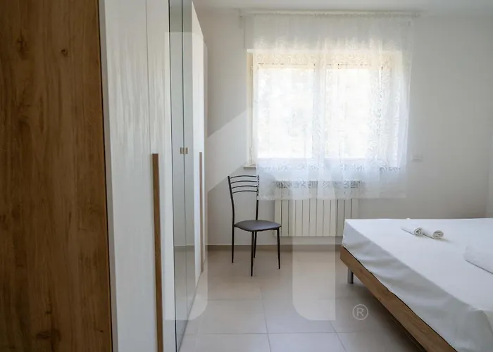 Homiday - Merope * Пинето